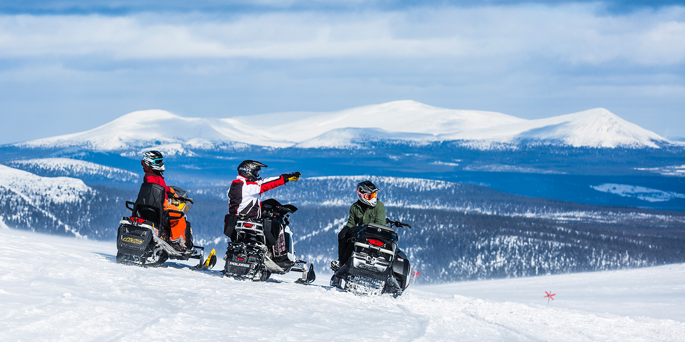 Digital guide lockar besökare till Lofsdalen